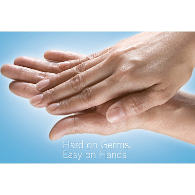 Clorox Commercial Solutions Hand Sanitizer (CLO02176PL)