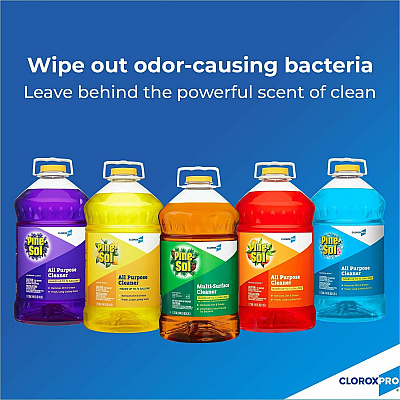 CloroxPro Pine-Sol All Purpose Cleaner (CLO41772PL)