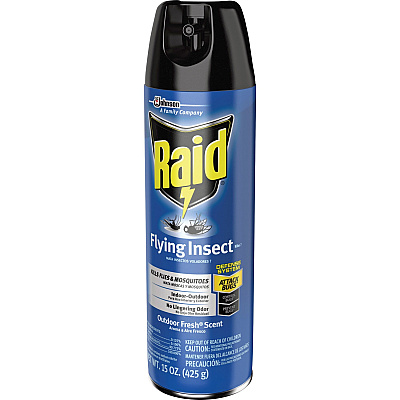 Raid Flying Insect Spray (SJN300816)