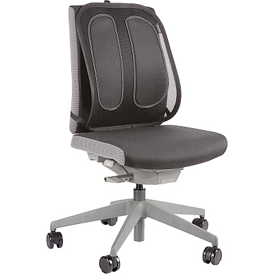Fellowes Office Suites Mesh Back Support (9191301)