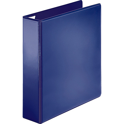 Business Source Easy Open Nonstick D-Ring View Binder (BSN26975)