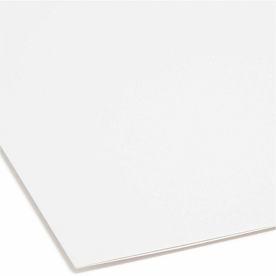 Smead 1/3 Tab Cut Letter Recycled Fastener Folder (SMD12840)