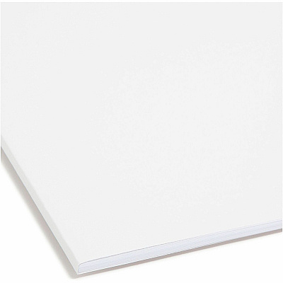Smead 1/3 Tab Cut Letter Recycled Fastener Folder (SMD12840)