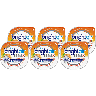 BRIGHT Air Max Scented Gel Odor Eliminator (BRI900436)