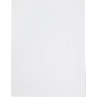 Quality Park Redi Strip Security Mailing Envelopes (QUA44929)
