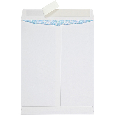 Quality Park Redi Strip Security Mailing Envelopes (QUA44929)