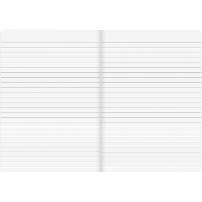 Rediform Blueline 5 Notebooks Pack (REDA85)