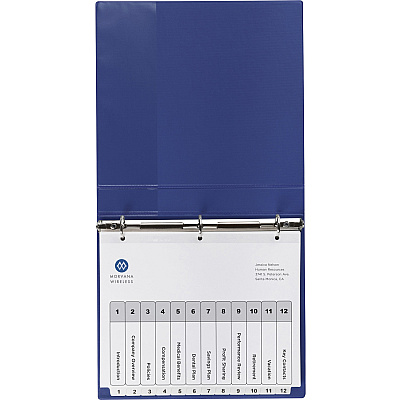 Avery Ready Index 12-tab Custom TOC Dividers (AVE11824)