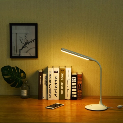 Data Accessories Company Desk Lamp (21634)