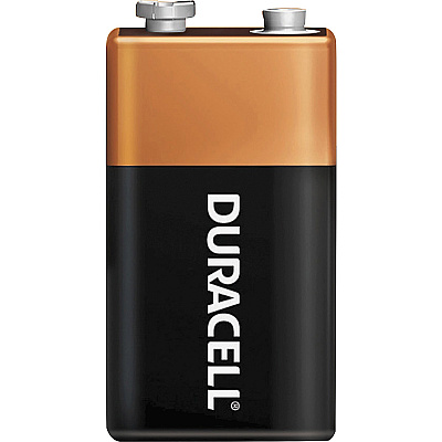 Duracell 9-Volt Coppertop Alkaline Batteries, 12-Packs (DUR01601CT)