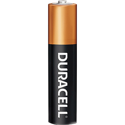 Duracell Coppertop Alkaline AAA Battery 10-Packs (DURMN2400B10ZCT)
