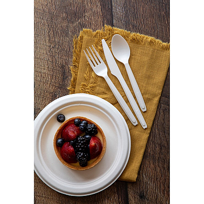 Eco-Products Cutlerease Dispensable Spoons (ECOEPCE6SPWHT)