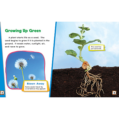 Shell Education Learn At Home Science 4-book Set Printed Book (118402)