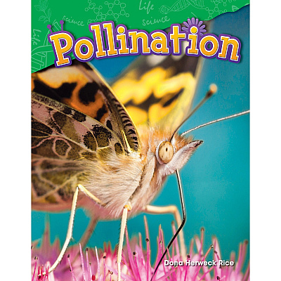 Shell Education Learn At Home Science 4-book Set Printed Book (118403)