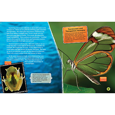 Shell Education Learn At Home Science 4-book Set Printed Book (118405)