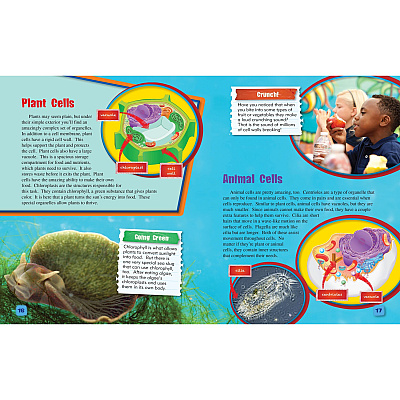 Shell Education Learn At Home Science 4-book Set Printed Book (118406)