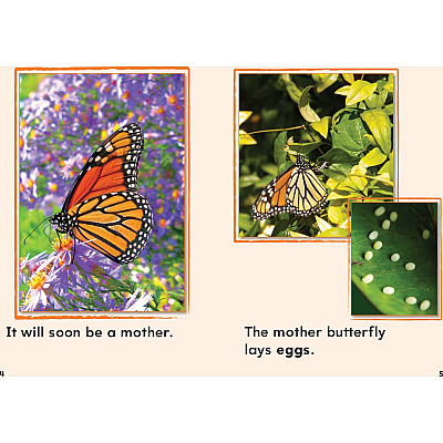 Shell Education Learn-At-Home Summer Science Set Printed Book by Jodene Smith (51677)