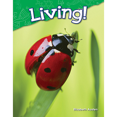 Shell Education Learn-At-Home Summer Science Set Printed Book by Jodene Smith (51676)