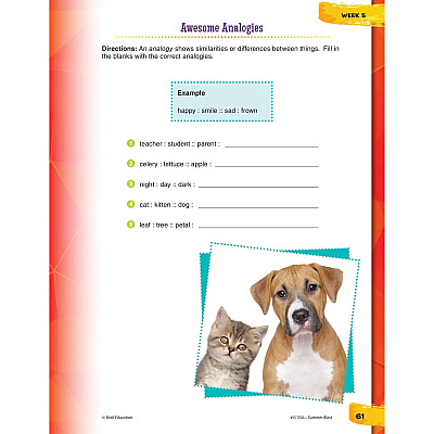 Shell Education Summer Blast Student Workbook Printed Book by Wendy Conklin (51554)