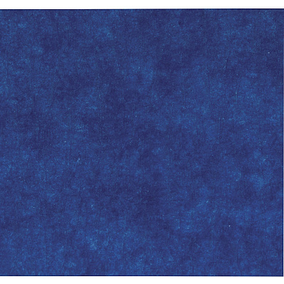 Duck Painter's Tape (DUC242751)
