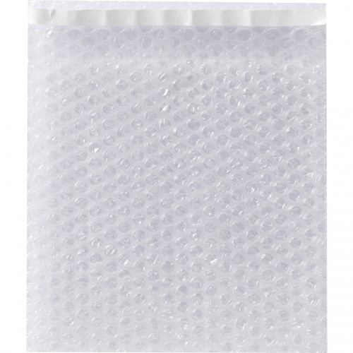 Duck Bubble Pouch Mailers (285741)