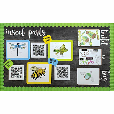 Fadeless Designs Paper Roll (PACP56915)