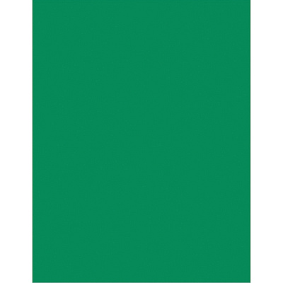 Pacon Color Brights Cardstock - Emerald Green (PACP101170)