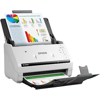 Epson DS-575W II Sheetfed Scanner - 600 x 600 dpi Optical (EPSB11B263202)