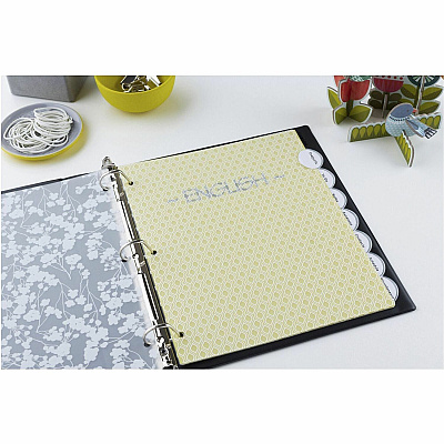 Avery Style Edge Insertable Plastic Dividers (11291)