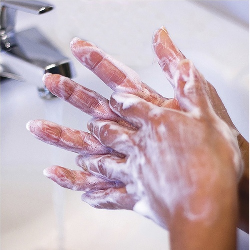 Safeguard Antibacterial Hand Soap (02699)