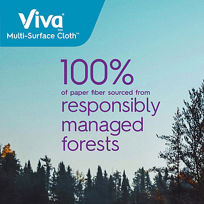 Viva VIVA Choose-A-Sheet Paper Towels (KCC53663)