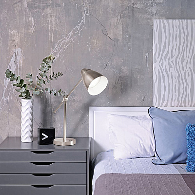OttLite Desk Lamp (OTTCS01SV9SHPR)