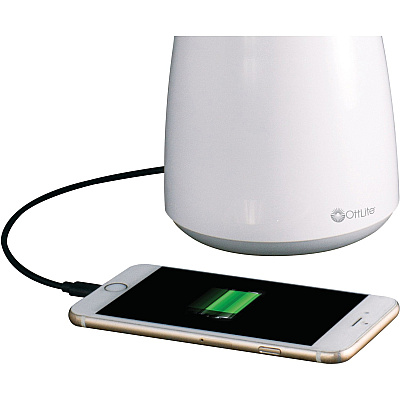 OttLite Desk Lamp (OTTCS59399SHPR)