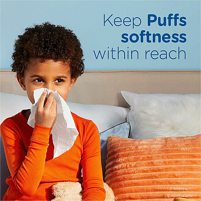 Puffs Basic Facial Tissue (PGC84405)