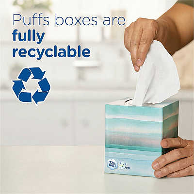 Puffs Basic Facial Tissue (PGC84405BX)