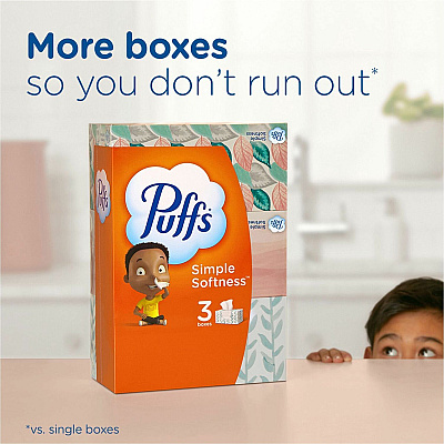 Puffs Basic Facial Tissue (PGC84405BX)