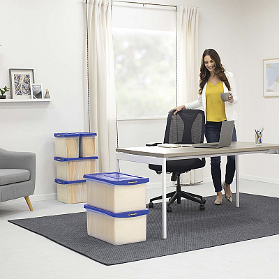 Bankers Box Heavy-Duty File Box (FEL0086101)