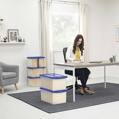 Bankers Box Heavy-Duty File Box (FEL0086101)