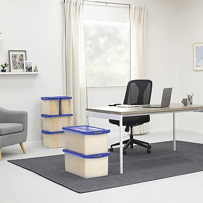 Bankers Box Heavy-Duty File Box (FEL0086101)