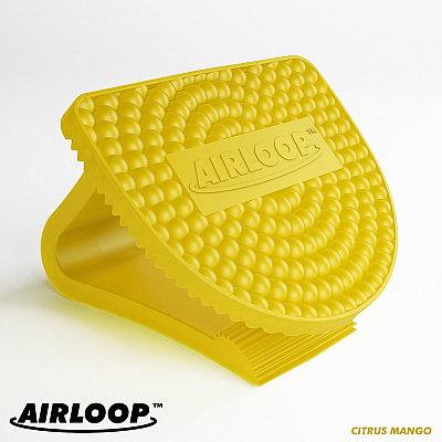 Vectair Systems Airloop Toilet Bowl Clip Air Freshener (VTSLOOPCIT)
