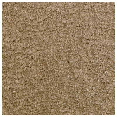 Carpets for Kids Solid Color Mt. St. Helens Carpet Rug (2176108)