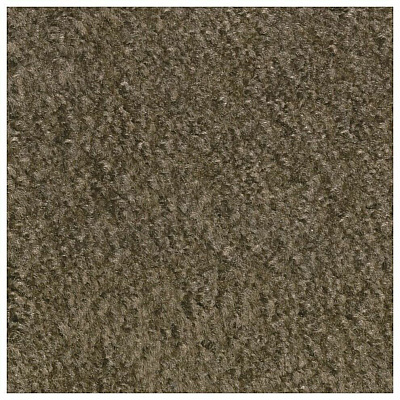 Carpets for Kids Solid Color Mt. St. Helens Carpet Rug (2176703)