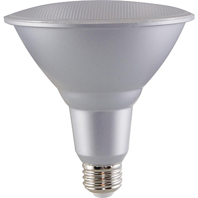 Satco 15W PAR38 LED Bulb (SDNS29446)