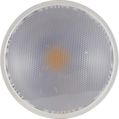 Satco 15W PAR38 LED Bulb (SDNS29446)