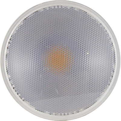 Satco 15W PAR38 LED Bulb (SDNS29446)