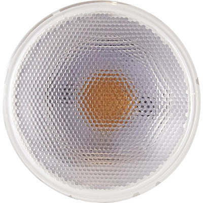 Satco PAR 30 LN LED Bulb (SDNS29431)