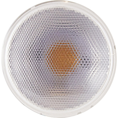 Satco PAR 30 LN LED Bulb (SDNS29431)