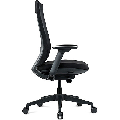 Eurotech Elevate Chair (ELV2BLKFSBLK)