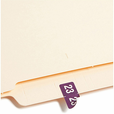 Smead ETS Color-Coded Year Labels (SMD67923)