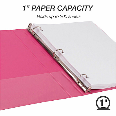 Samsill Earthchoice Durable View Binder (SAMMS48639)